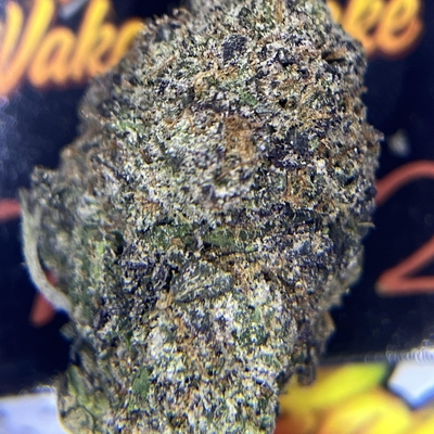 DESIGNER - SECRET WEAPON