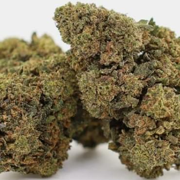 Silver Kush