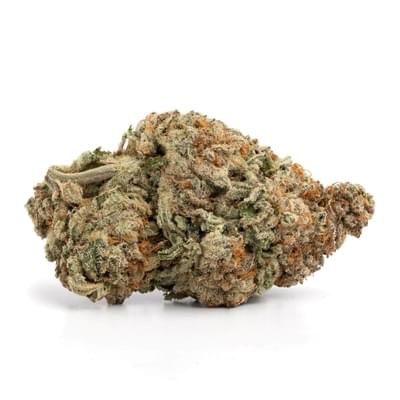 Jamaican pearl (AAA+)