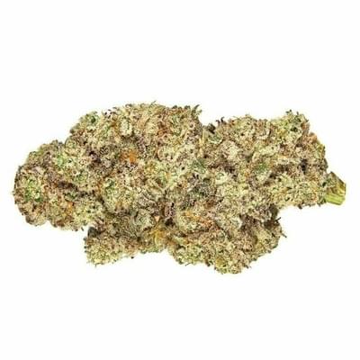 ORANGE DAIQUIRI - 5 GRAMS