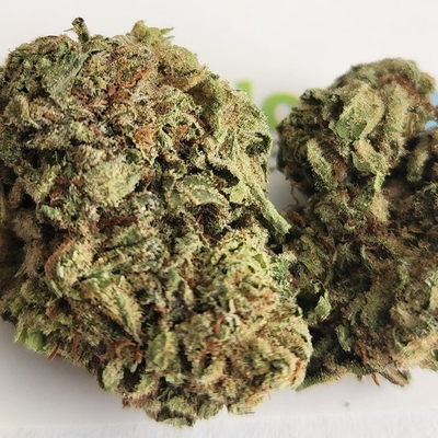 Super Silver Haze - P