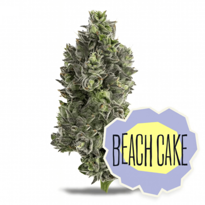 Beach Cake