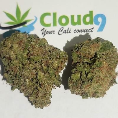 Sweet Skunk - P