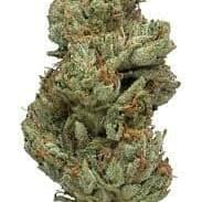 BIG BANG (TOP SHELF)