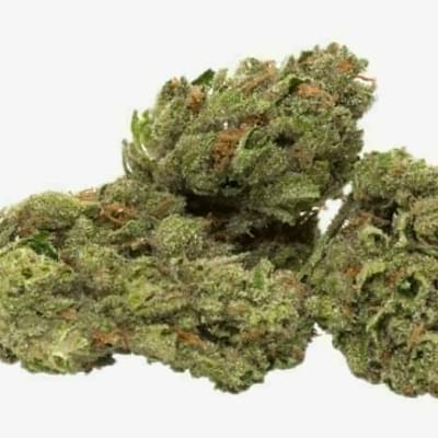 Doc OG