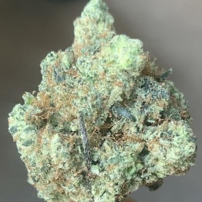 Gorilla Cookies