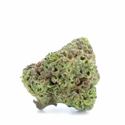 PURPLE PUNCH - 5 GRAMS