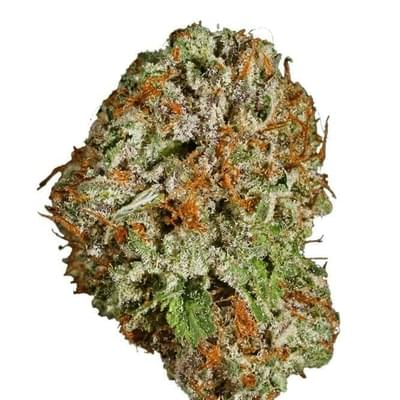 Sour Sunset (PREMIUM)