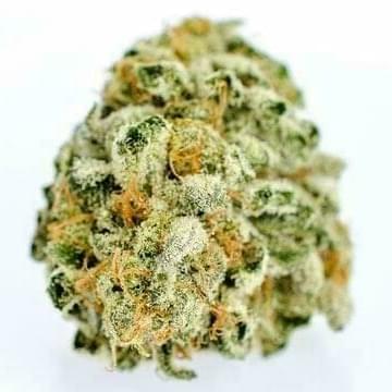 Monster Cookies
