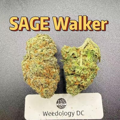 SAGE Walker---Top Shelf