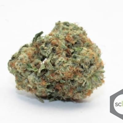 XXX OG