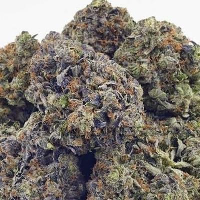 Granddaddy Purple (Exotic)