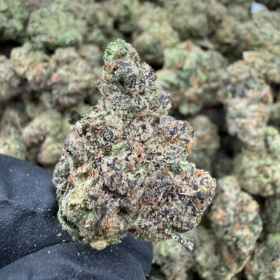 Red Velvet (Hybrid)