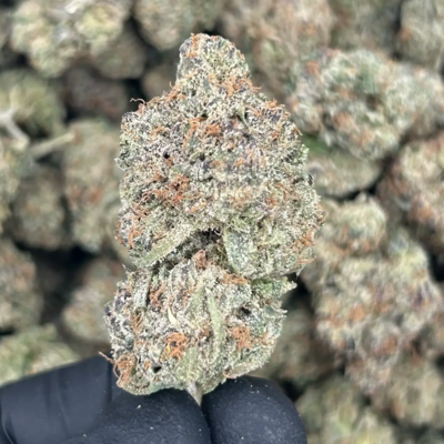 Space Monster +AAA (Indica)