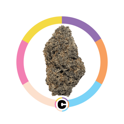 Purple Kush
