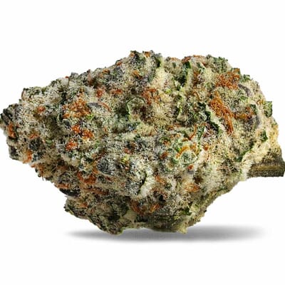 Bernie Hana Butter (Top-Shelf)