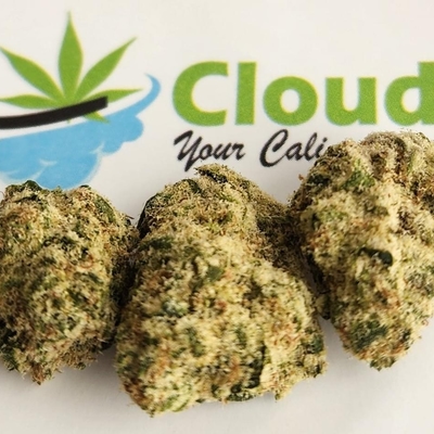 Blue Cherry Gelato - Exotic SMALLS