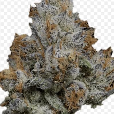 LEMON CHERRY GEL (Designer)