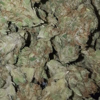 Deathstar - High Valley Farms
