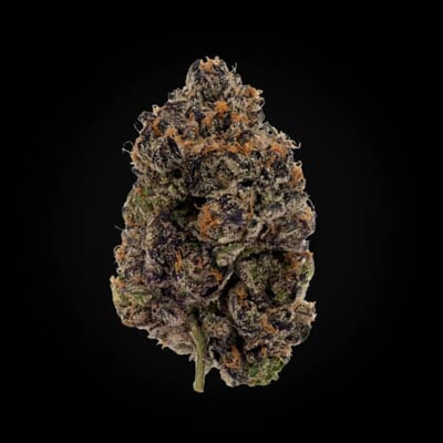 Black Domina