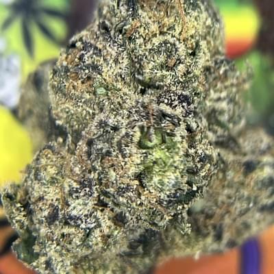 RESERVE- UNCLE SNOOP