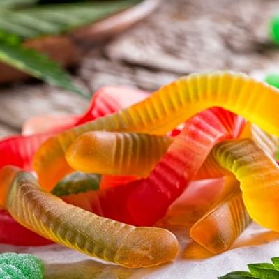 SOUR OCTOPUS 600 MG