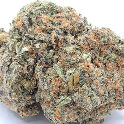 BLIZZFUL WIZARD (TOPSHELF)