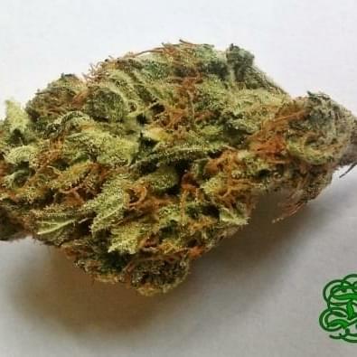 Jack the Ripper (Top-Shelf)