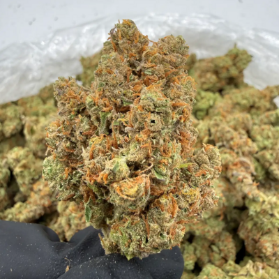Silver Surfer (Hybrid)