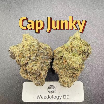 Cap Junky---Exotics