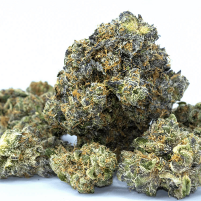 Forbidden Fruit - Designer