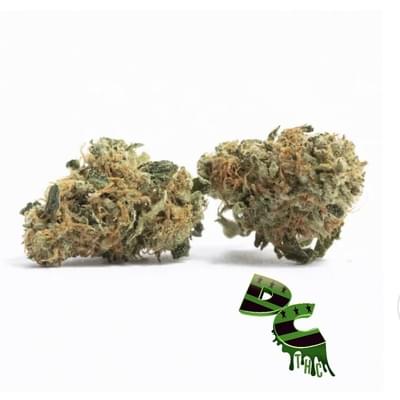 Chem 91