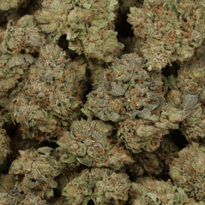 Snoop Dogg OG - Topshelf