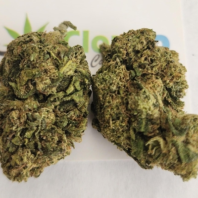 Cherry Diesel - P
