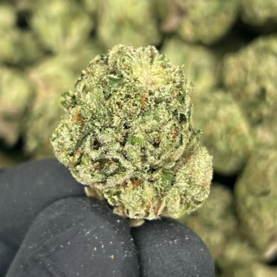 Cherry Cheesecake (Indica)