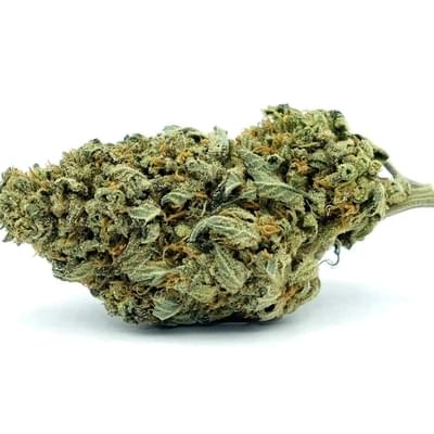 Emerald Jack