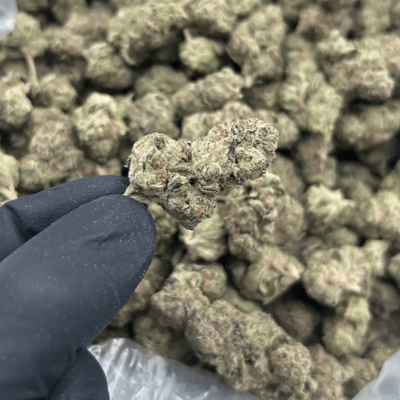 Lemon Bars (Sativa)