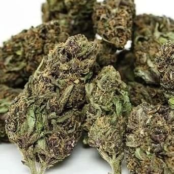 Purple OG (Hi-Life Specials)