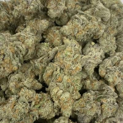 SPACE LOLLIPOPS (TOPSHELF)