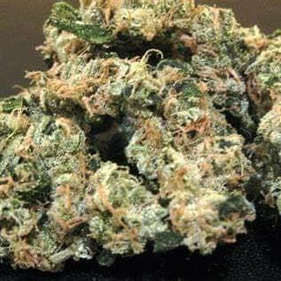 SOUR MAUI  (PREMIUM/SATIVA)