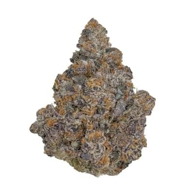 EXOTIC-PINK RUNTZ