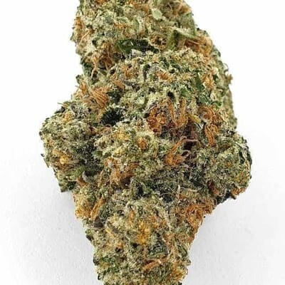 Grape Ape Indica Strain | Premium Top Shelf Cannabis