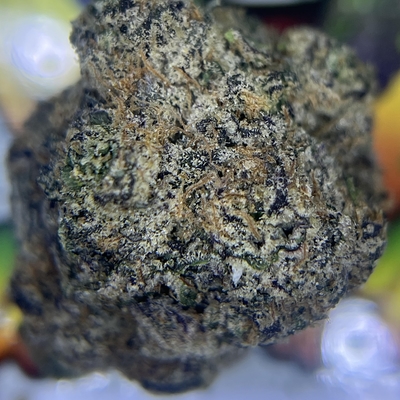 DESIGNER - WATERMELON BOMB POP