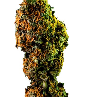 Train Wreck - Sativa THC 24%