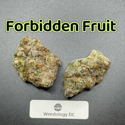 Forbidden Fruit---Designer