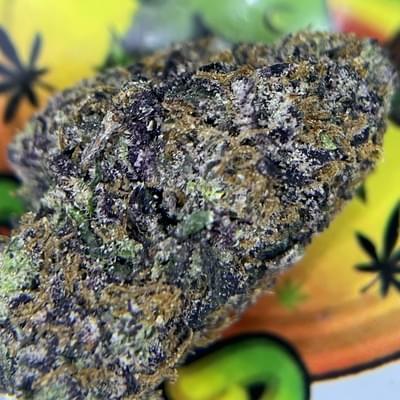 DESIGNER- SUPER LEMON CHERRY