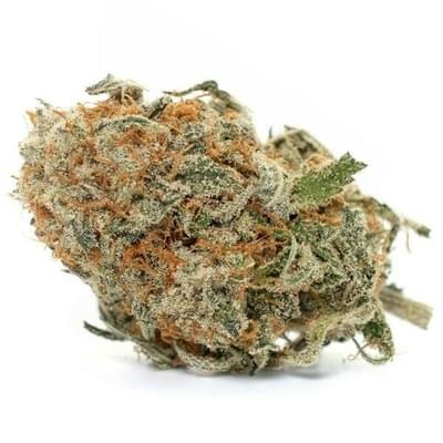 Royal Cookies (Exotic)