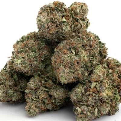 OG Kush (exotic)