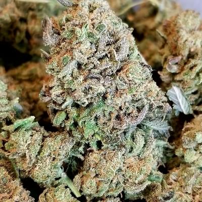Banana Kush