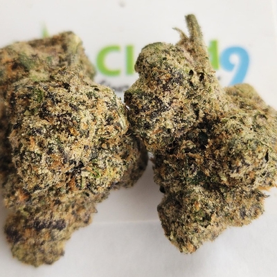 Berry Chill - A+ Exotic